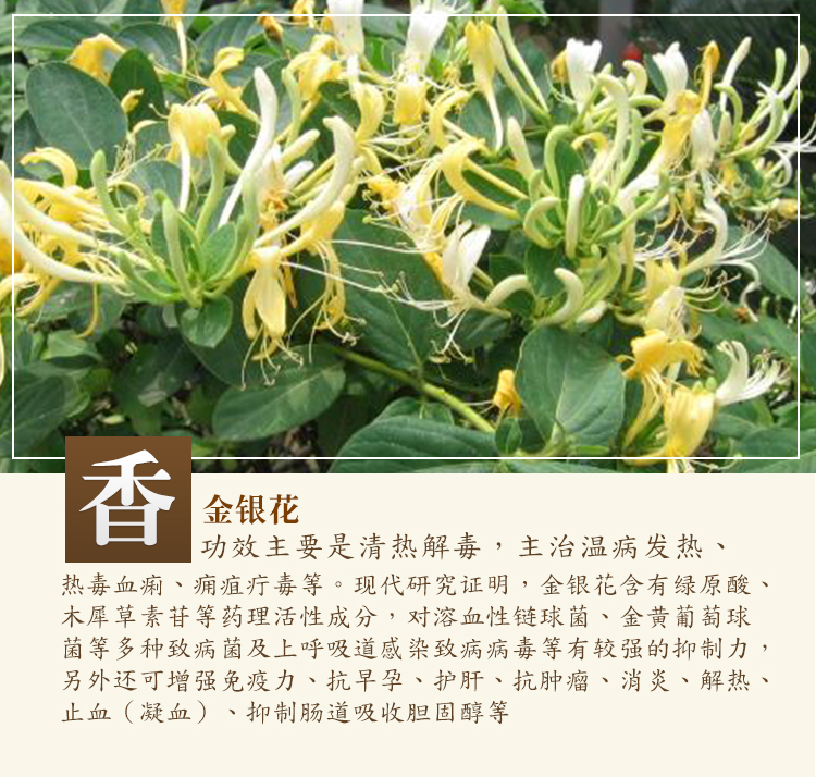 详情页_08.jpg